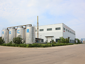 Company